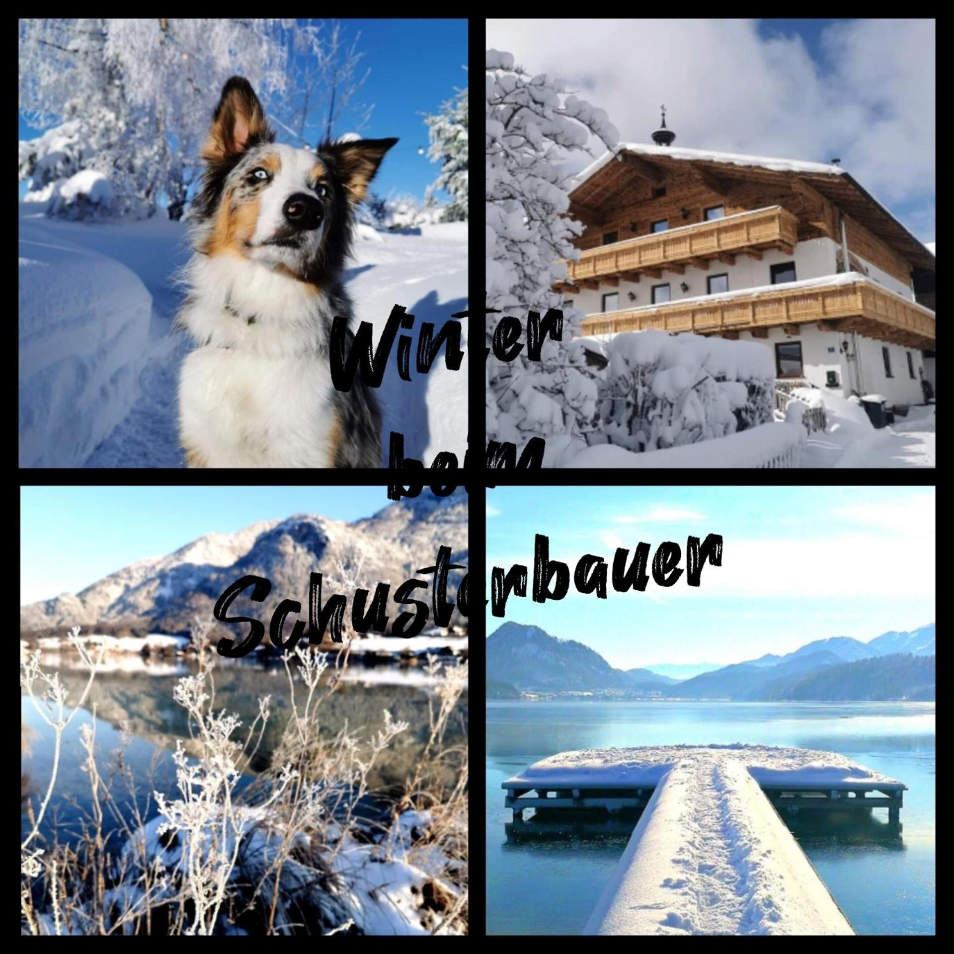 Schusterbauer Villa Koppl Luaran gambar
