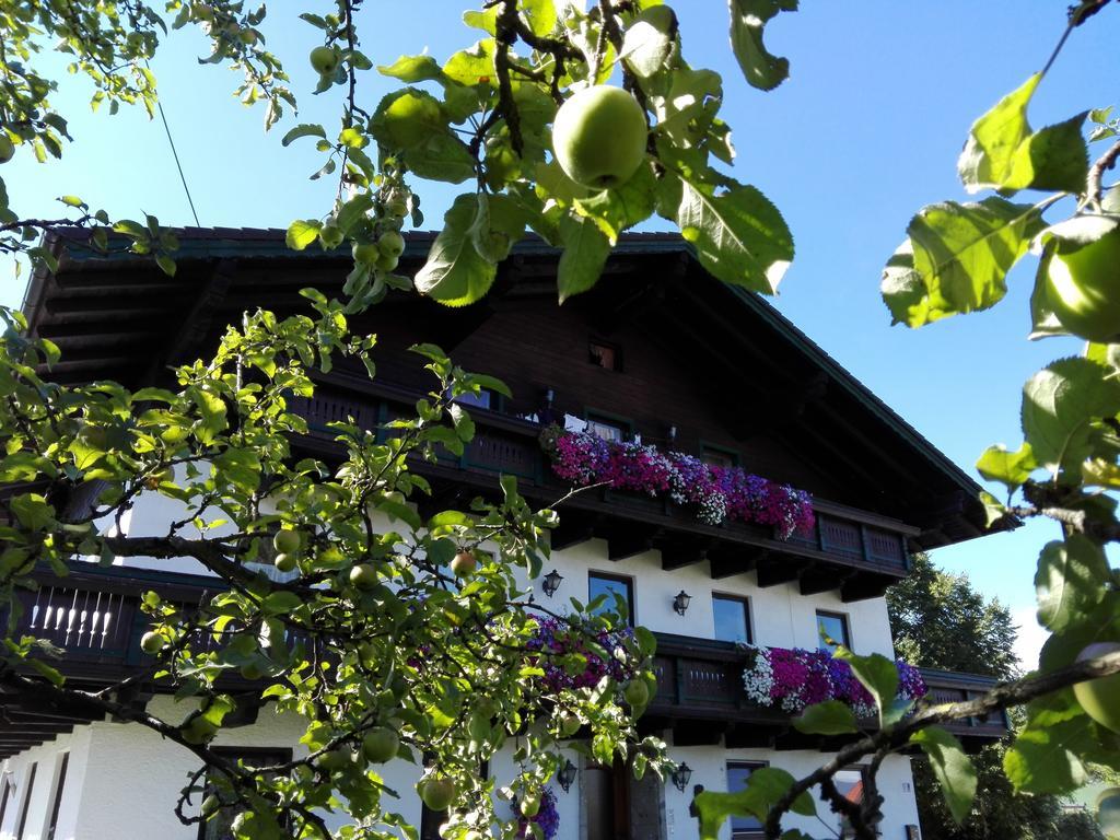 Schusterbauer Villa Koppl Luaran gambar