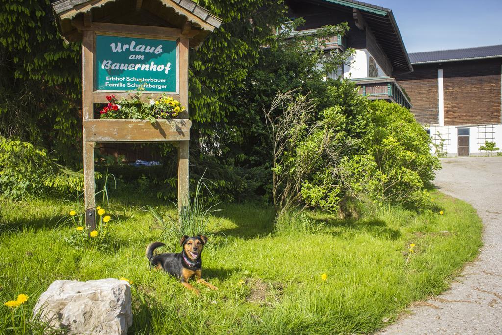 Schusterbauer Villa Koppl Luaran gambar