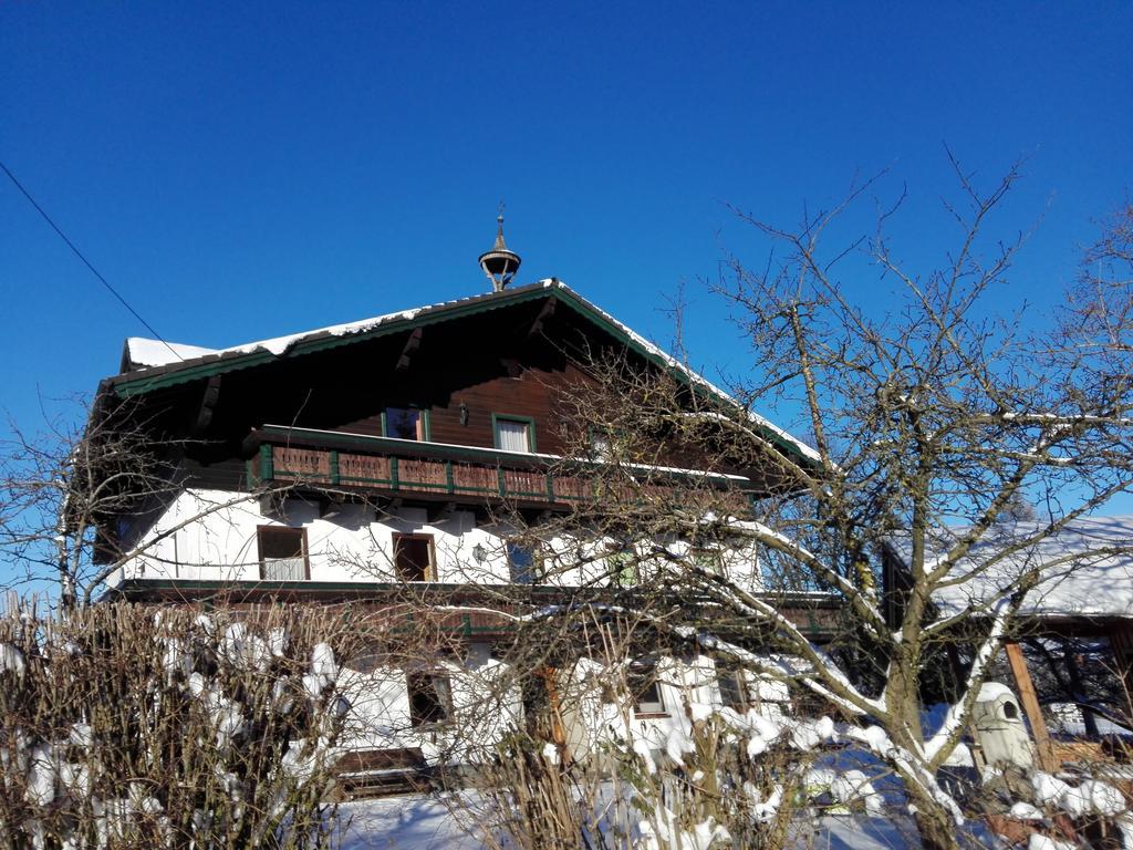 Schusterbauer Villa Koppl Luaran gambar