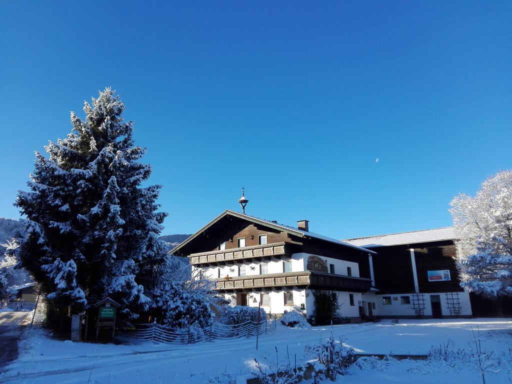Schusterbauer Villa Koppl Luaran gambar