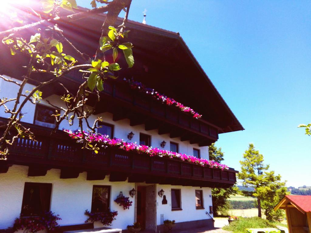 Schusterbauer Villa Koppl Luaran gambar