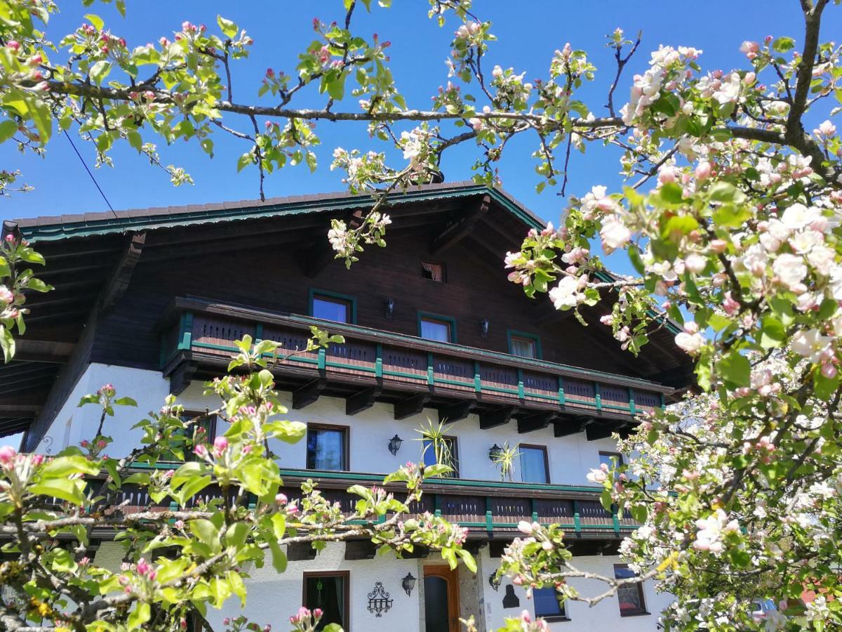 Schusterbauer Villa Koppl Luaran gambar