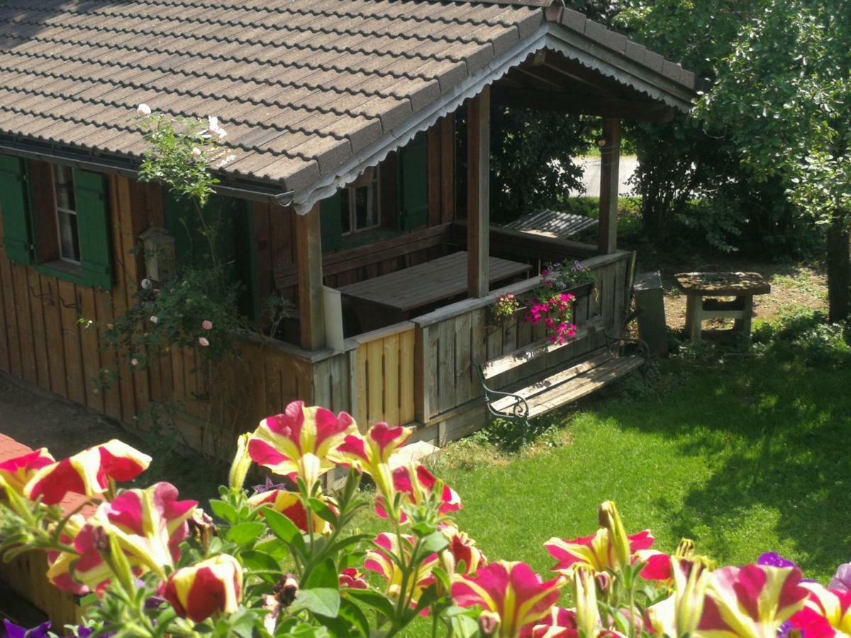 Schusterbauer Villa Koppl Luaran gambar